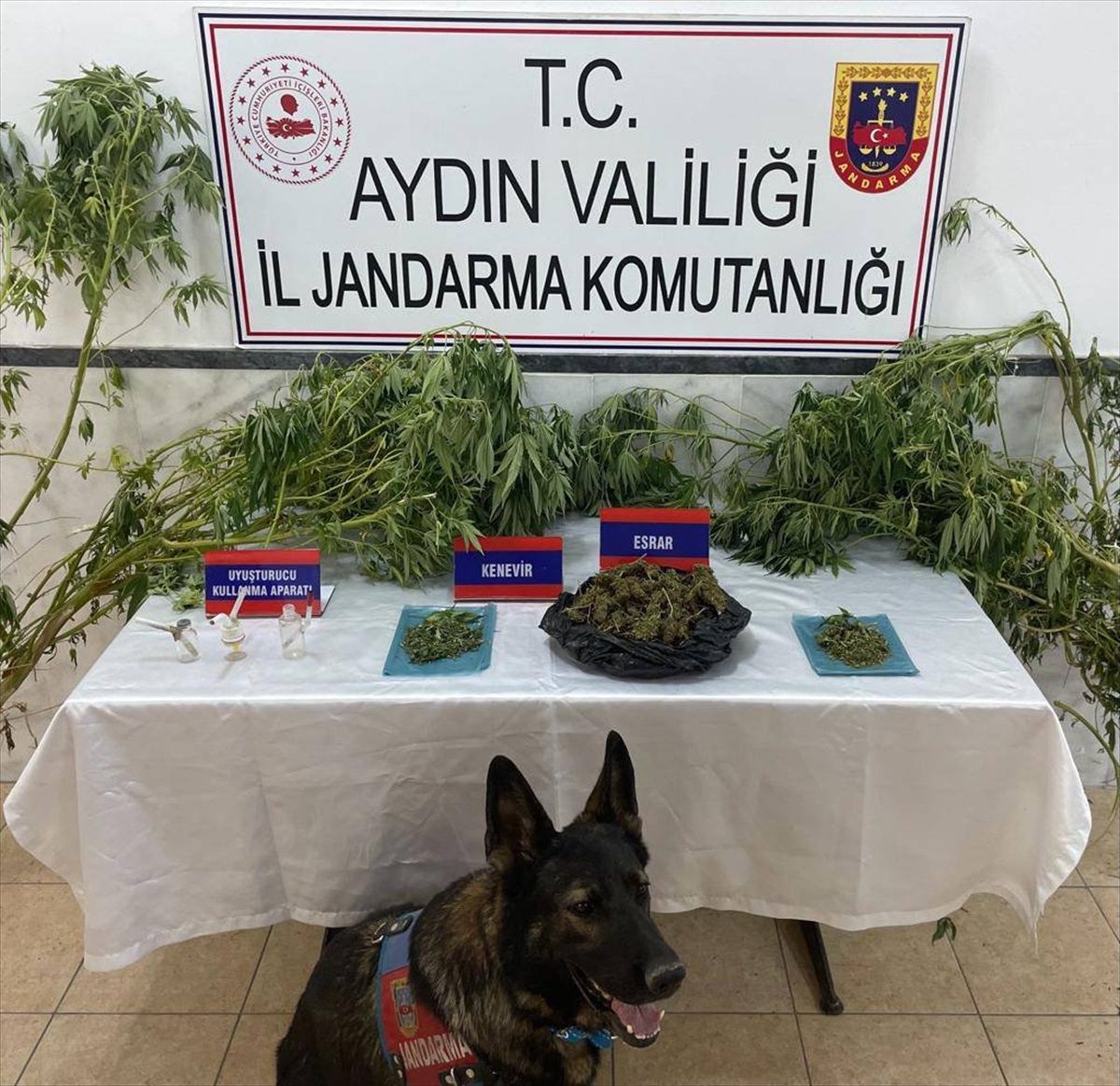 Aydın\'da Uyuşturucu Operasyonu: 1 Kişi Gözaltına Alındı