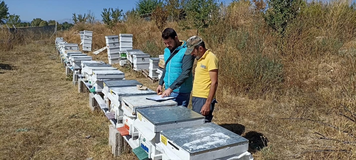 Beyşehir\'de Arılı Kovan Tespit ve Sayım Çalışmaları Devam Ediyor