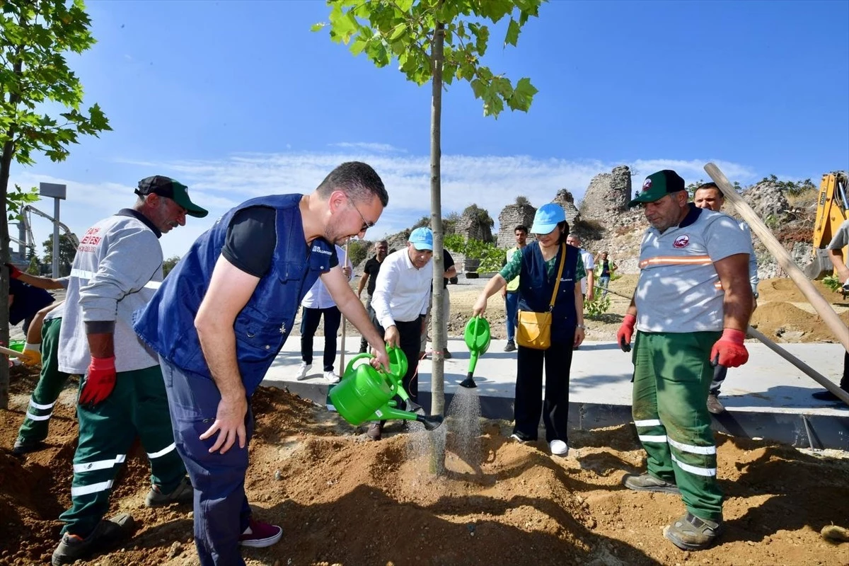 BM Gönüllüleri Fatih\'te Ağaç Dikti