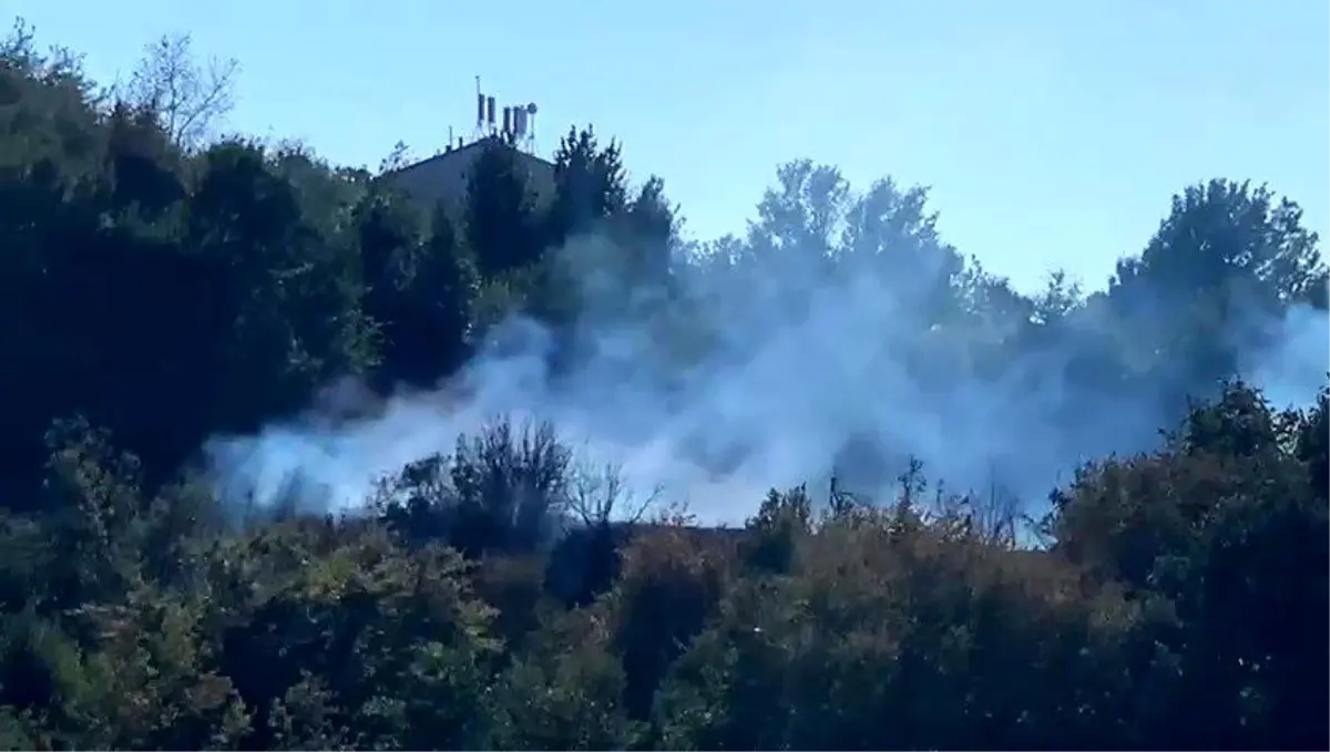 Zonguldak\'ta çalılık alanda çıkan yangın büyümeden söndürüldü