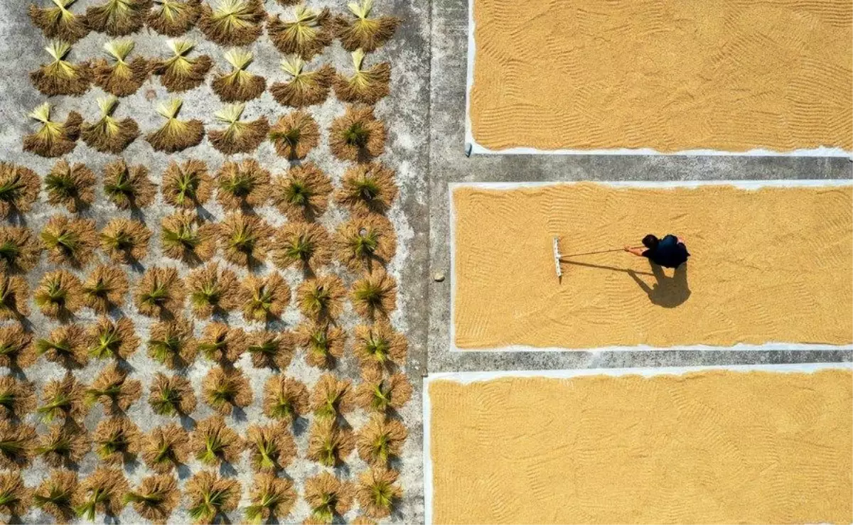 Çin Başbakan Yardımcısı Liu Guozhong, tarımsal üretimi teşvik etmek için çağrıda bulundu