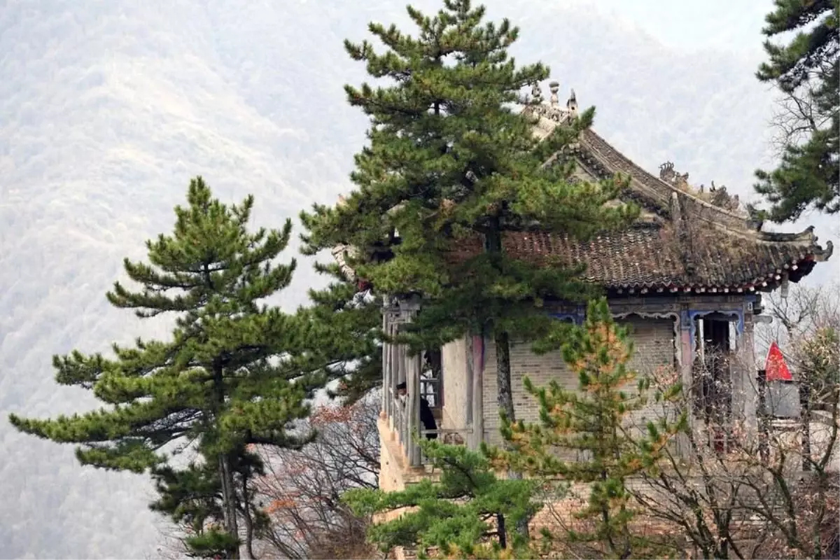 Dünya Taoizm Federasyonu 20 ülkeden 52 örgüt tarafından kuruldu