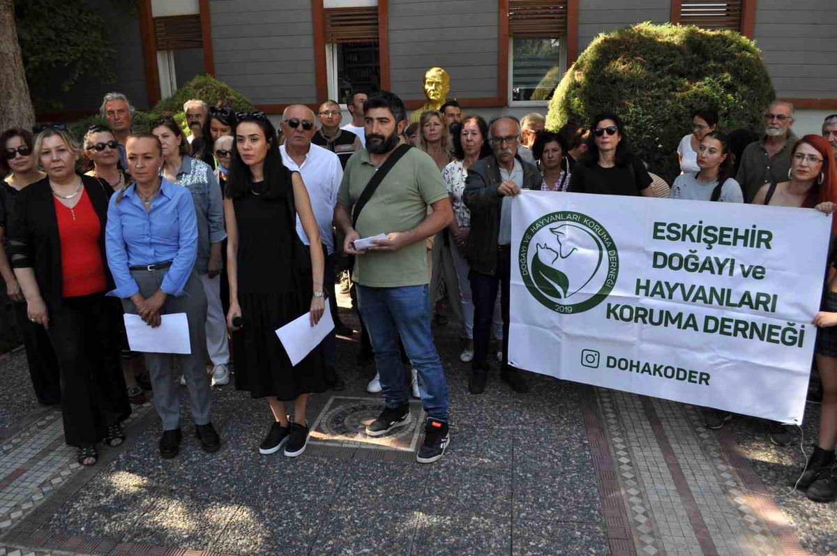 Eskişehir Büyükşehir Belediyesi Sahipsiz Sokak Hayvanları Bakımevi İçin Girişimde Bulunmuyor