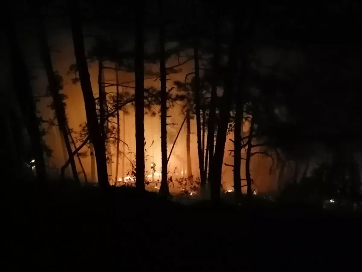 Karabük\'ün Ovacık ilçesinde orman yangını: 5 dönüm alan zarar gördü