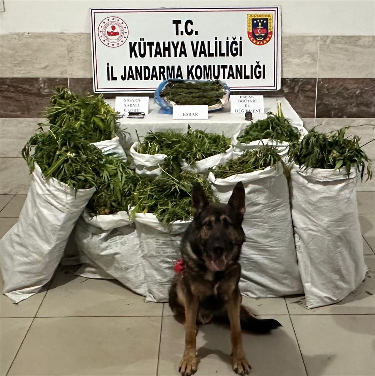 Kütahya\'da 41 Kilogram Esrar Ele Geçirildi, Zanlı Tutuklandı