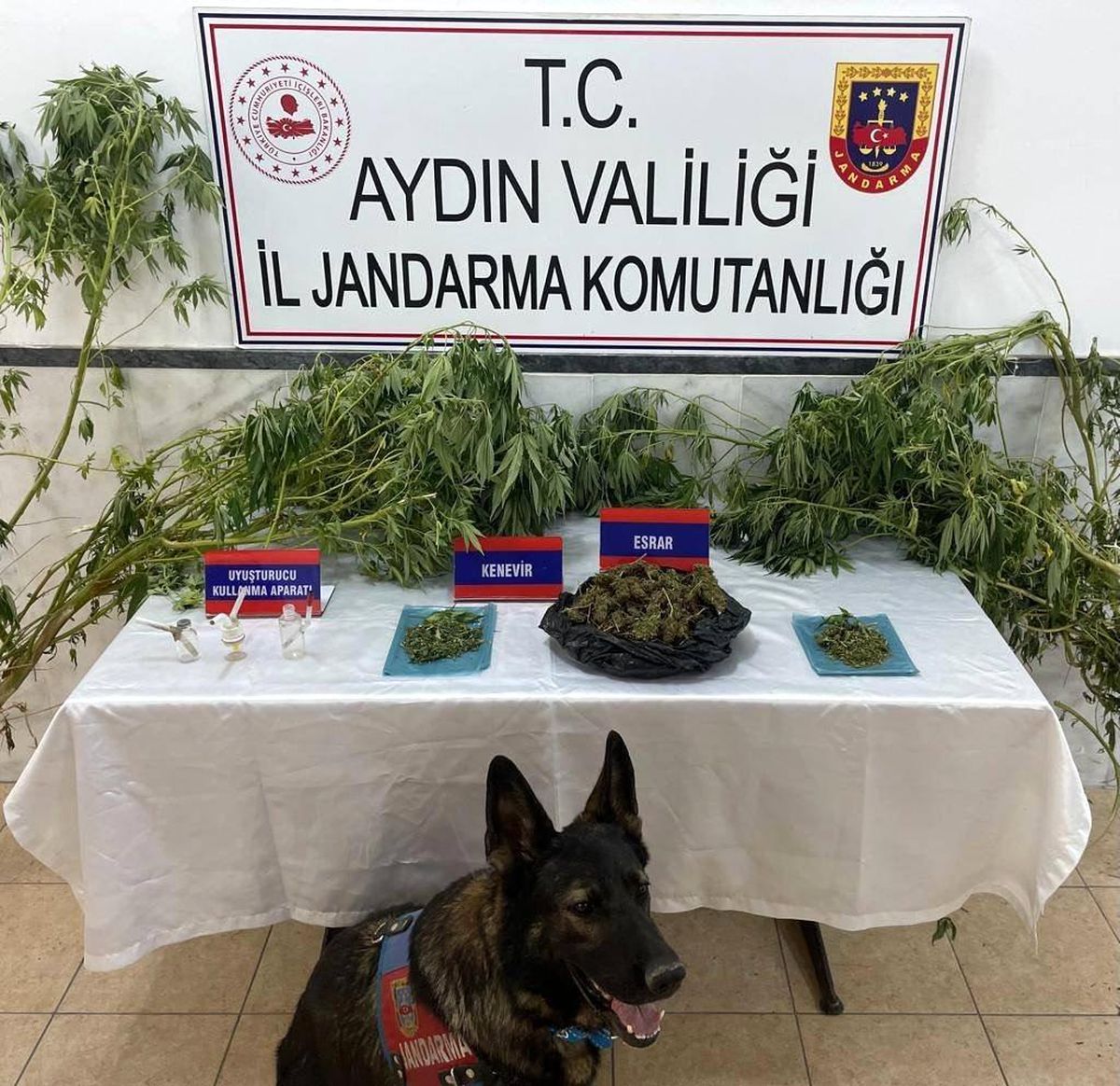 Aydın\'da Uyuşturucu Operasyonu: 1 Kilo 50 Gram Esrar Ele Geçirildi