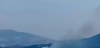 Manisa'da çıkan orman yangını söndürüldü