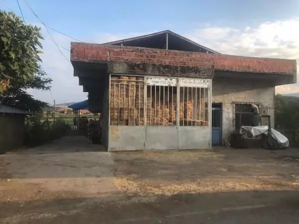 Miras anlaşmazlığında kan aktı: Kuzenini vuramayınca büyükbaşlara kurşun yağdırdı