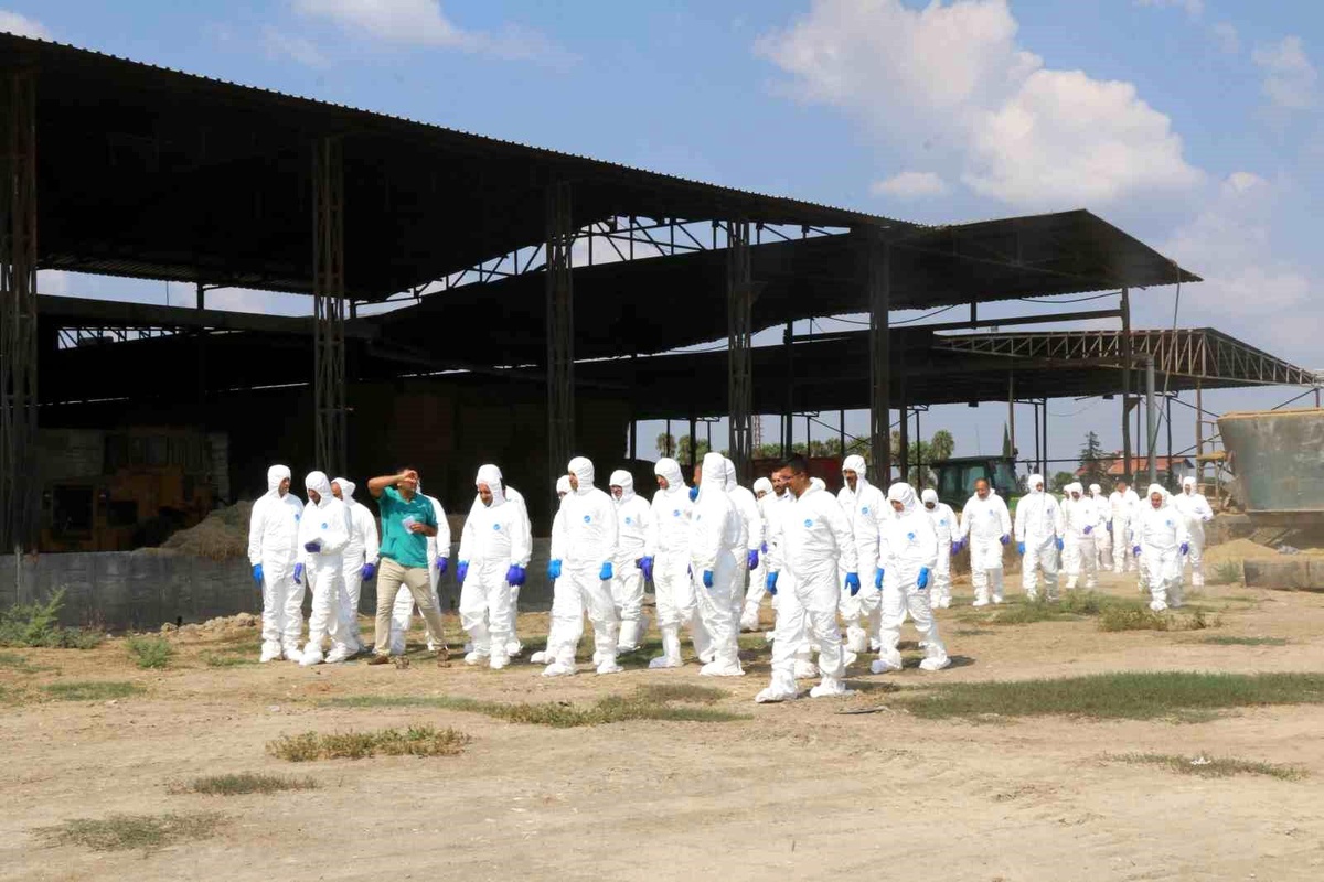 Adana\'da Şap ve Diğer Salgın Hastalıkların Kontrolü İçin Eğitim Düzenlendi