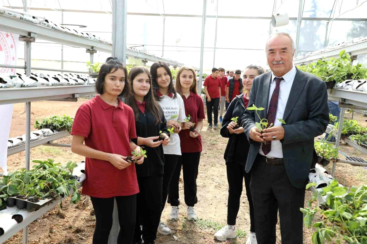 Eskişehir\'de Tarım Projesi: Tatlı Çilekler Mutlu Sarıcakaya