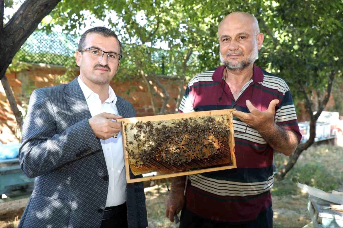 Yozgat\'ın Çekerek İlçesinde Uysal Arılarla Tonlarca Bal Üretiliyor