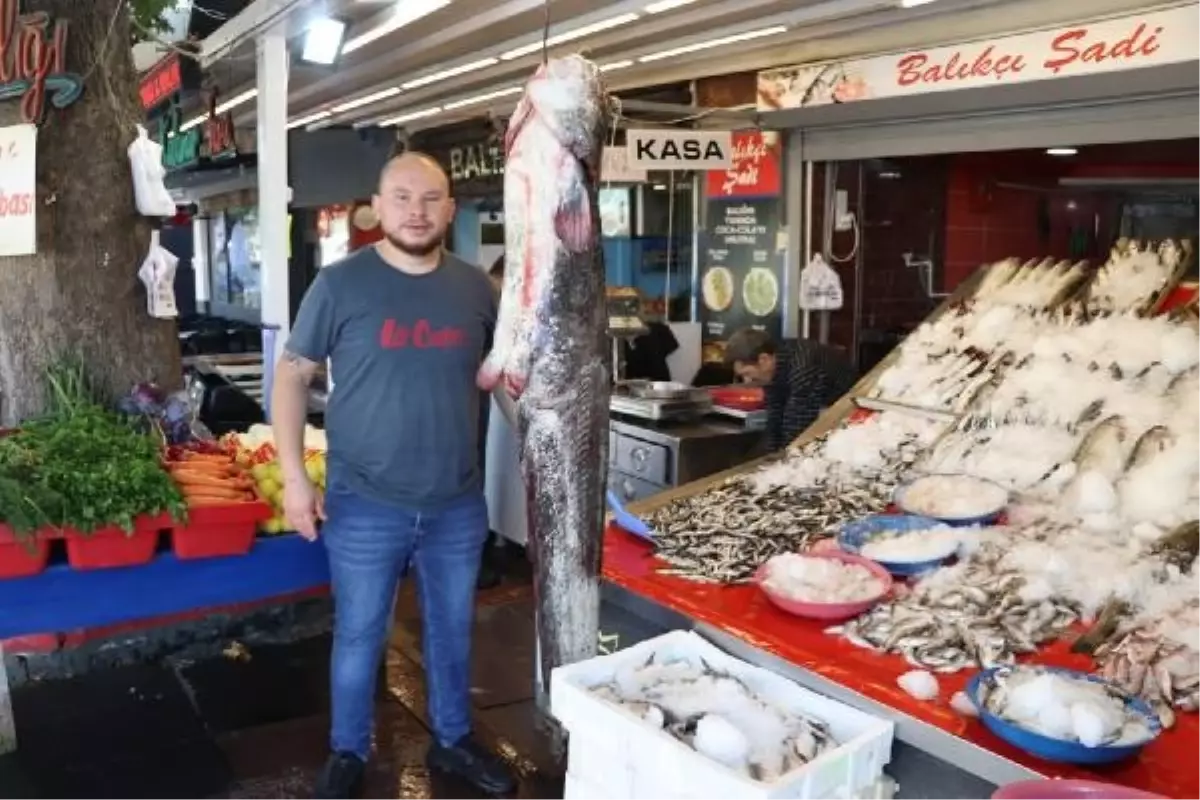 Amasya'da Dev Yayın Balığı Yakalandı