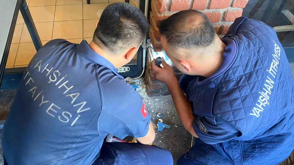 Restoranın yağmur suyu gider borusuna düşen yavru kedi itfaiye tarafından kurtarıldı