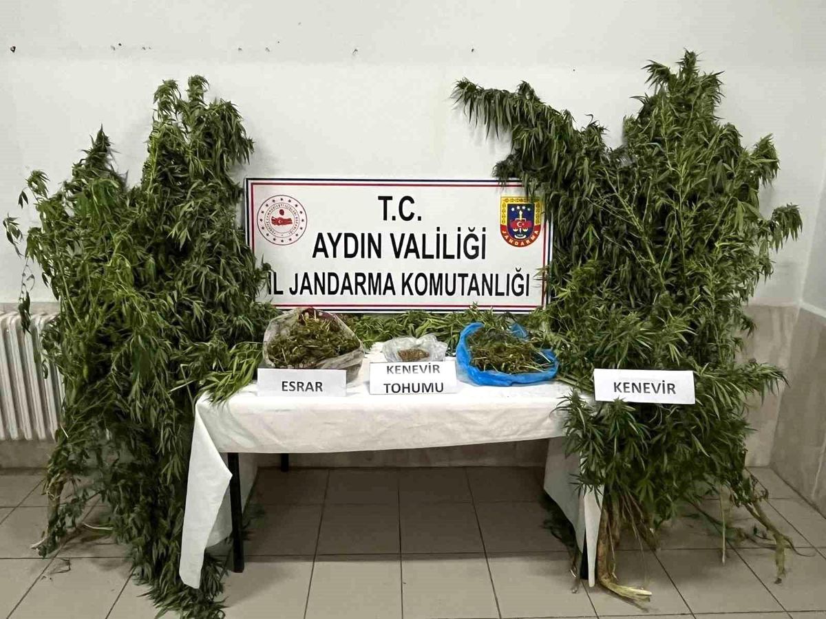 Didim\'de Uyuşturucu Operasyonu: 1 Kilogram Esrar ve 70 Kök Kenevir Ele Geçirildi