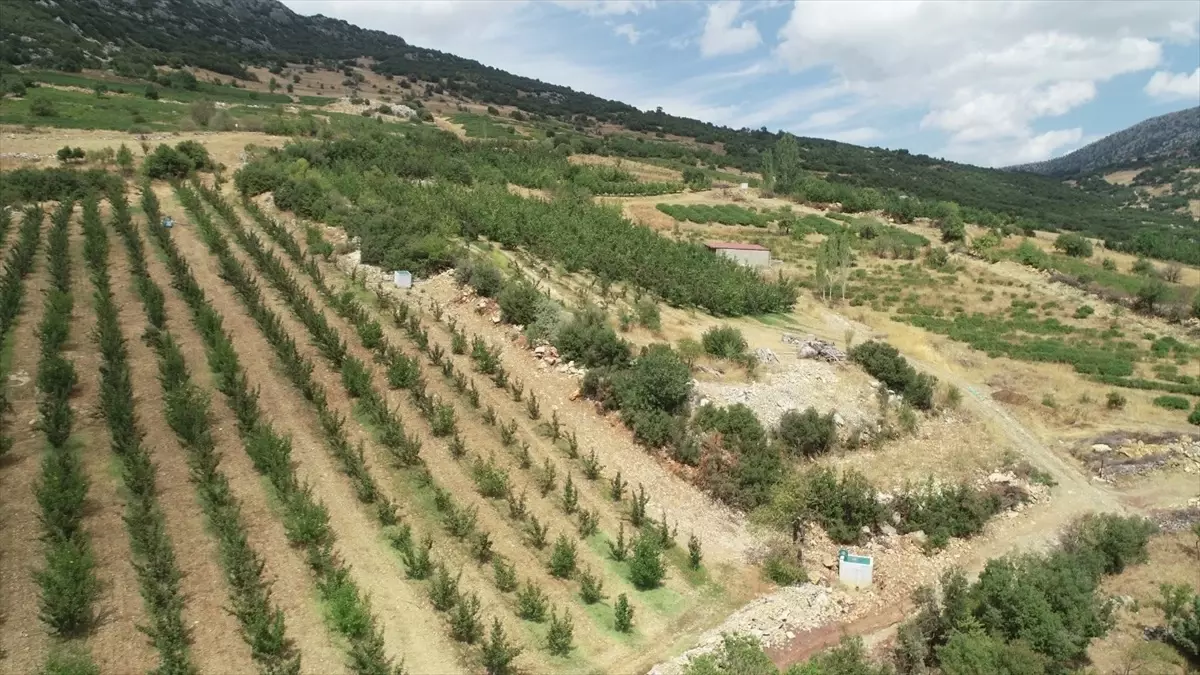 Isparta\'da Gökçehöyük sulaması projesi yıl sonunda tamamlanacak