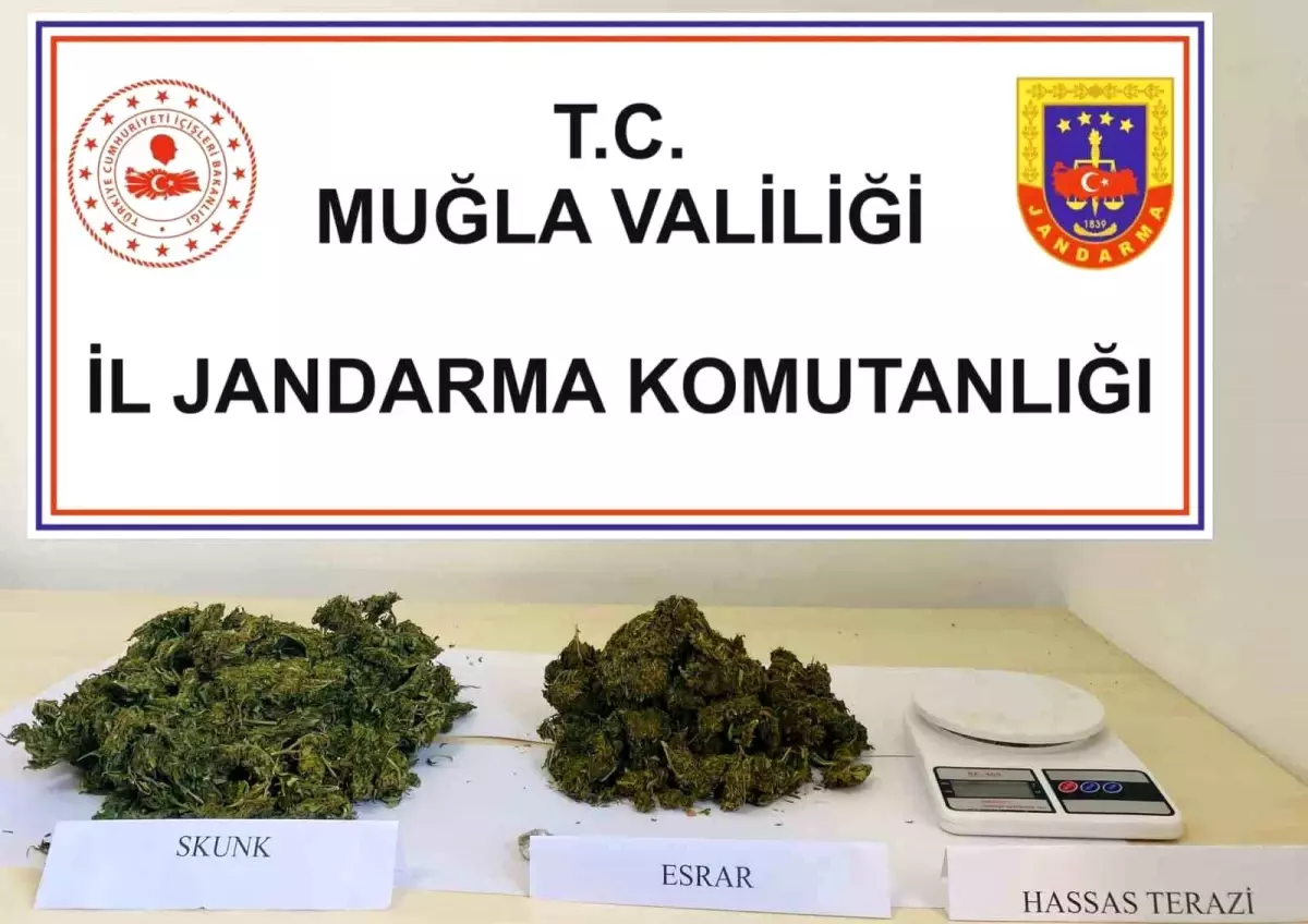 Fethiye\'de Uyuşturucu Operasyonu: 1 Kişi Gözaltına Alındı