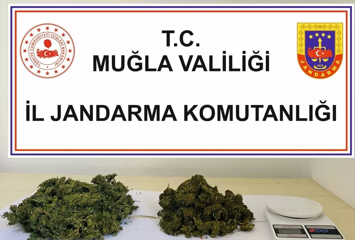 Fethiye\'de Uyuşturucu Operasyonu: 1 Şüpheli Gözaltına Alındı