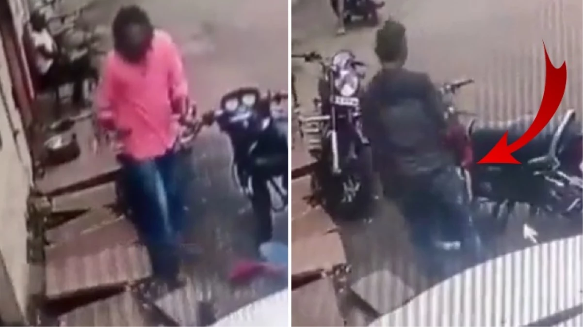 Kobranın ısırdığı motosikletli adam hayatını kaybetti