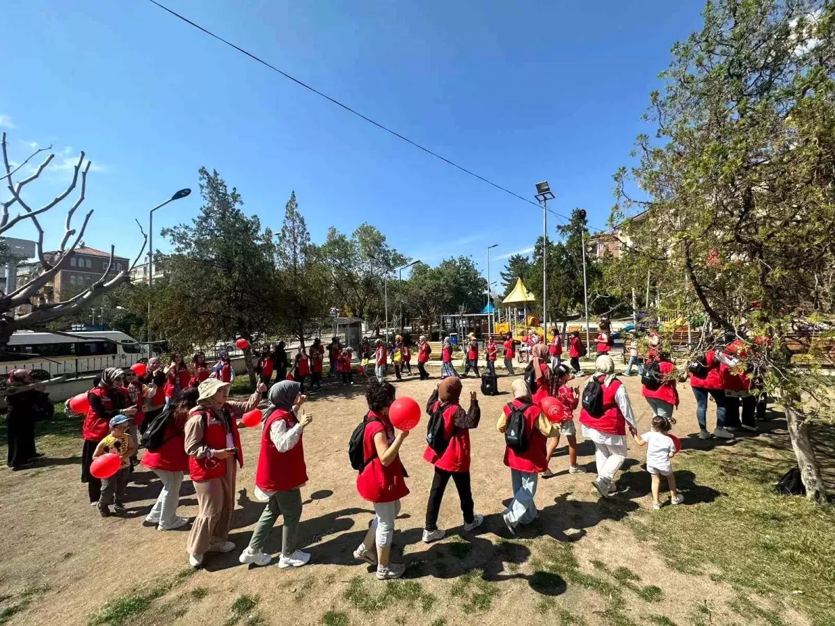 Kırıkkale\'ye gelen gönüllü gençler çeşitli faaliyetler düzenledi