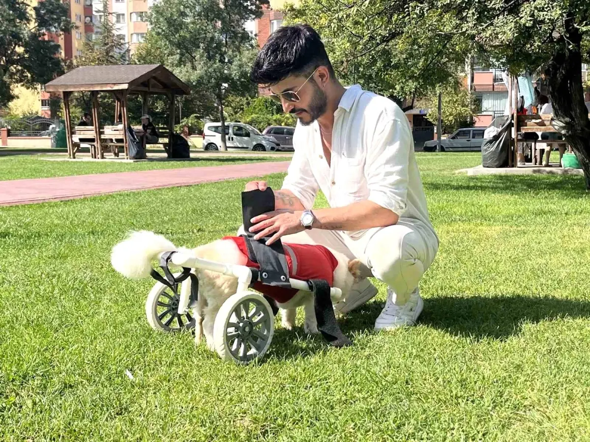 Eskişehir\'de Felç Geçiren Köpek Sahibini Müslüman Yaptı