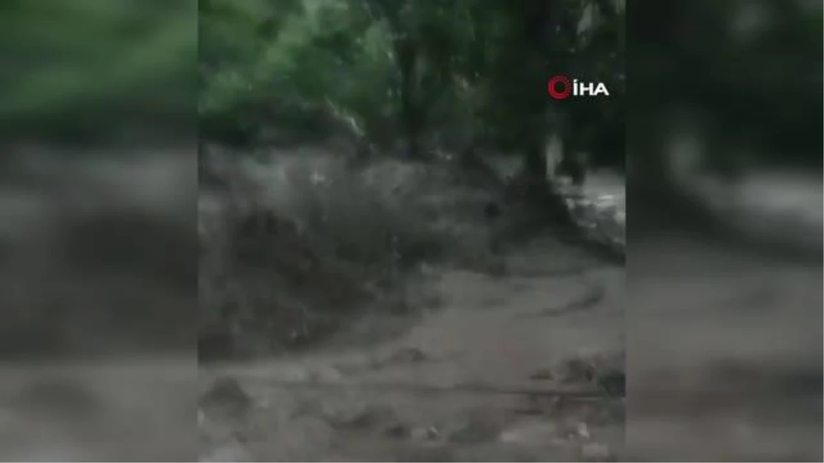 Meksika\'da şiddetli yağışlar sonucu sel: 8 ölü, 2 kayıp
