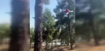 Ormanlık alandaki örtü yangını kontrol altına alındı