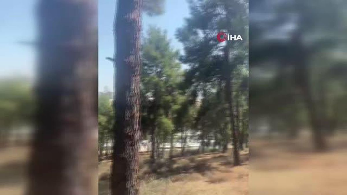 Ormanlık alandaki örtü yangını kontrol altına alındı