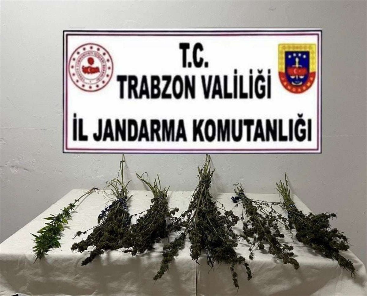 Trabzon\'un Maçka ilçesinde uyuşturucu operasyonu: 2 şüpheli gözaltına alındı