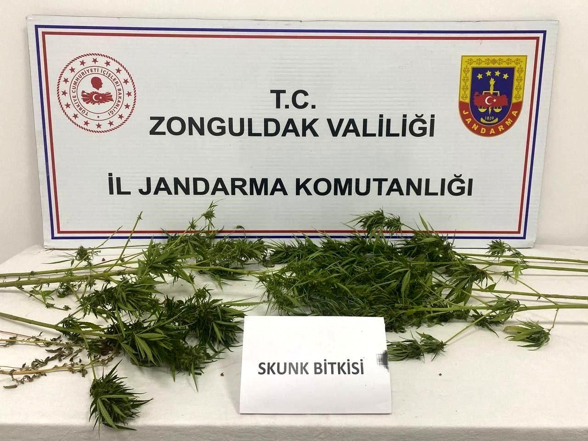 Zonguldak\'ta Uyuşturucu Operasyonu: Skunk Ele Geçirildi
