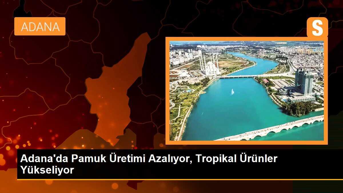 Adana\'da Pamuk Üretimi Azalıyor, Tropikal Ürünler Yükseliyor
