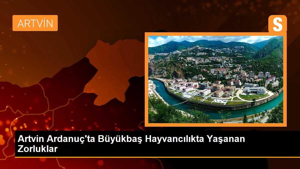 Artvin Ardanuç\'ta Büyükbaş Hayvancılık Yapan Çiftçiler Zor Durumda