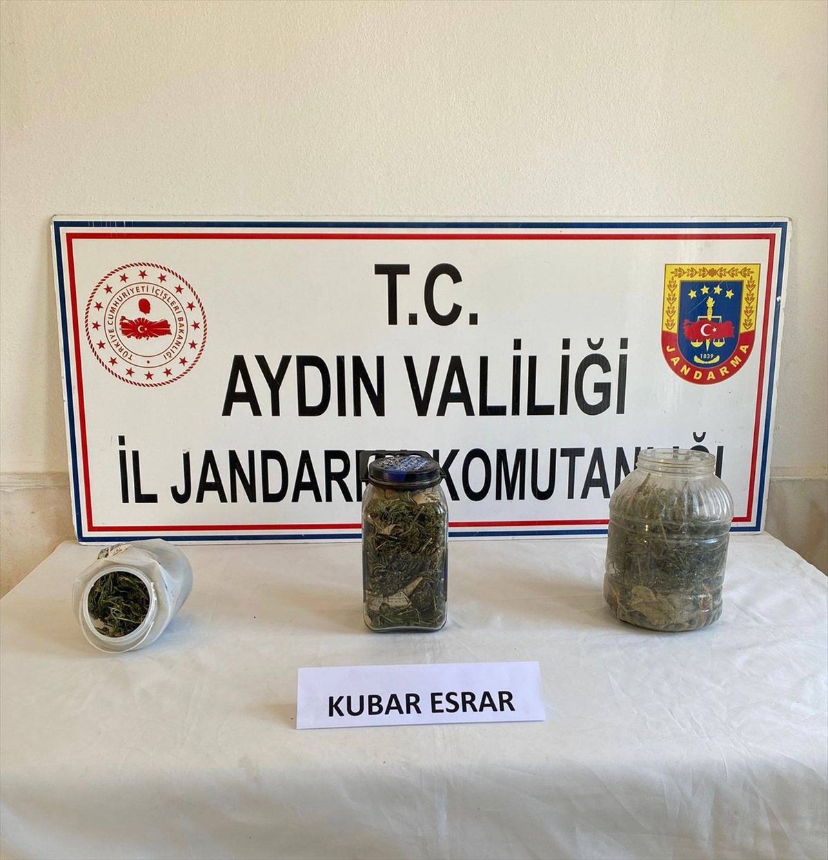Aydın\'da uyuşturucu operasyonu: 2 gözaltı