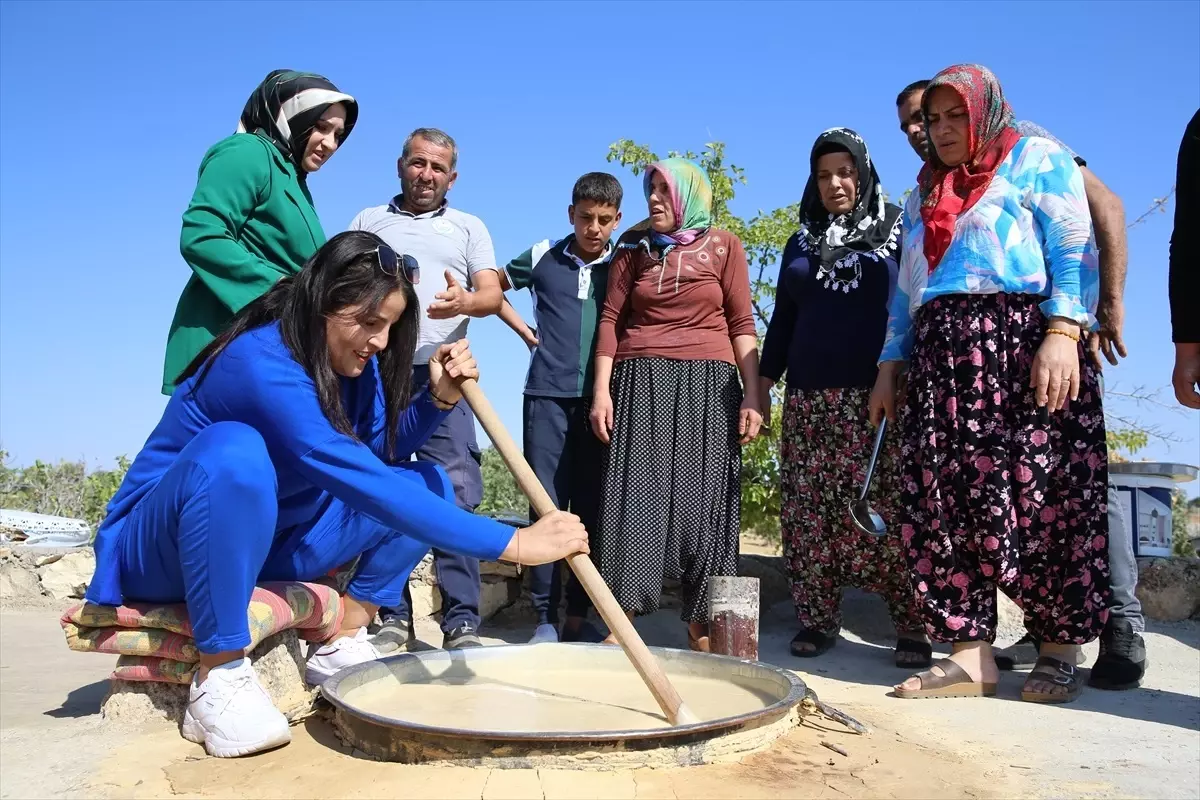 Diyarbakır\'da Bağ Bozumu Etkinliği Düzenlendi