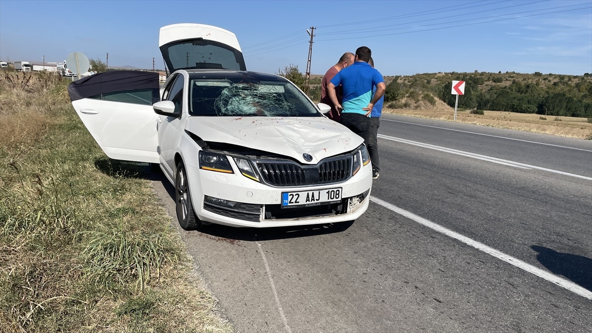 Edirne\'de otomobilin çarptığı yaya hayatını kaybetti