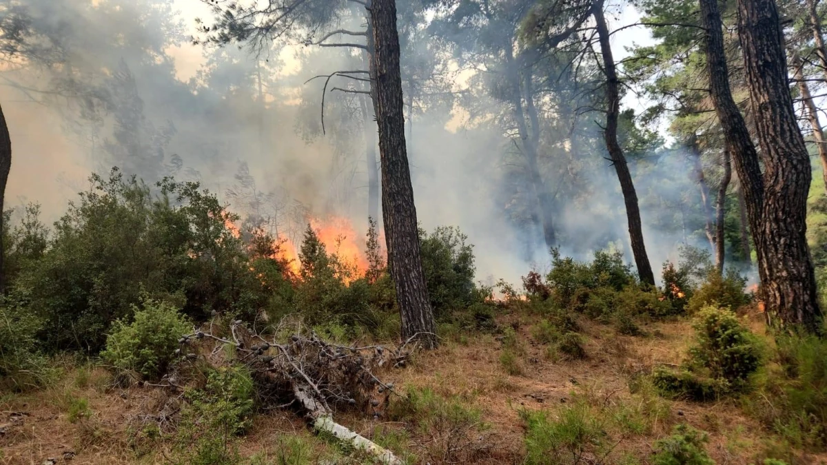 Çanakkale\'de Yıldırım Düşmesi Sonucu 6 Orman Yangını Çıktı