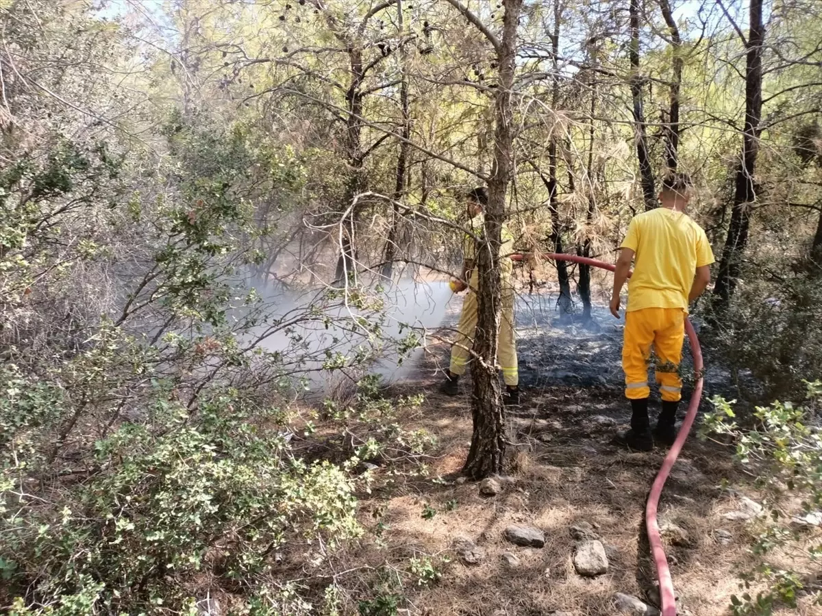 Gülnar\'da çıkan orman yangını söndürüldü