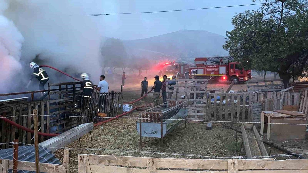 Isparta\'da bir köyde meydana gelen yangında bin 500 balya saman küle döndü