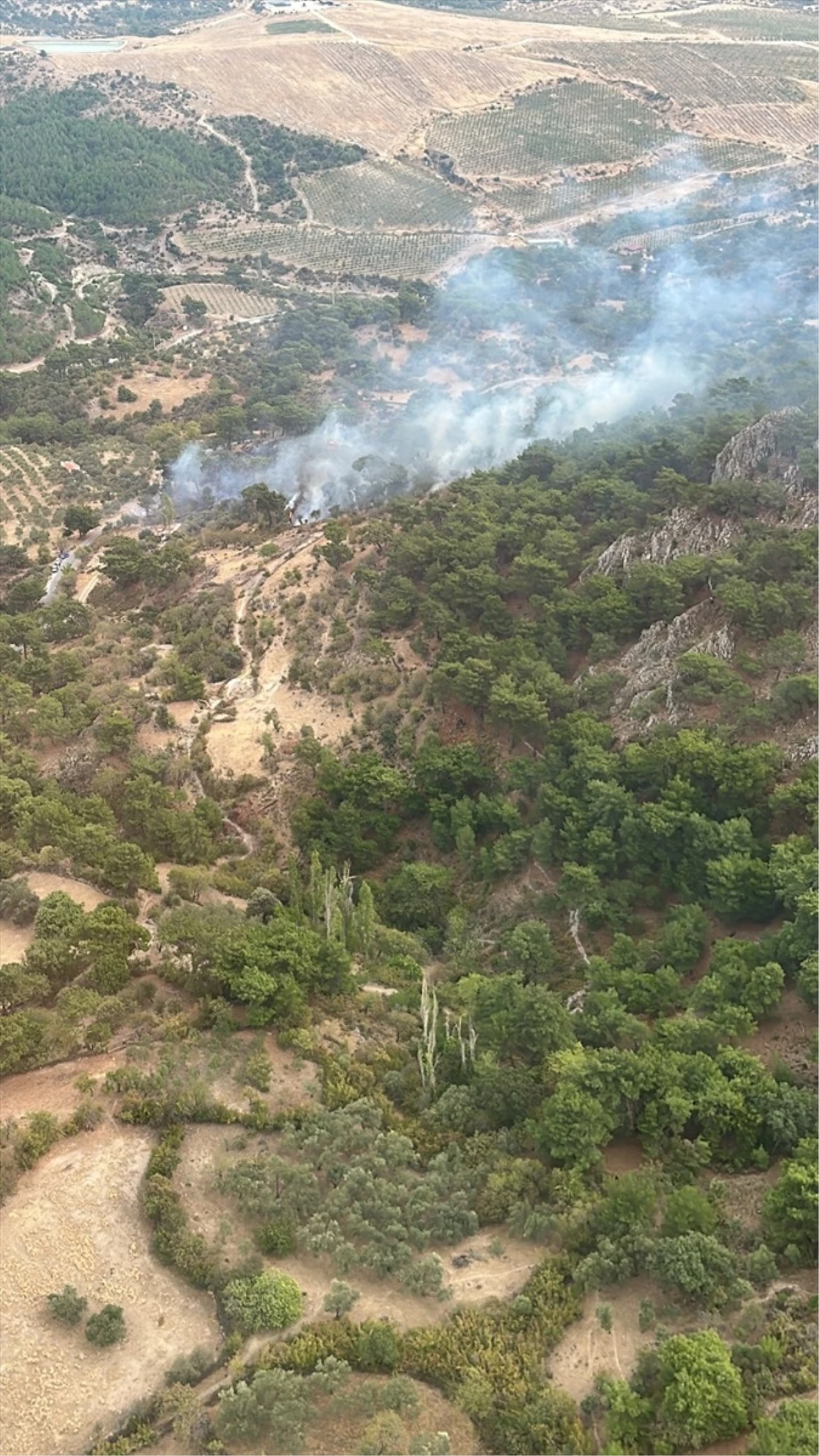 Çanakkale\'de Yıldırım Düşmesi Sonucu Orman Yangını