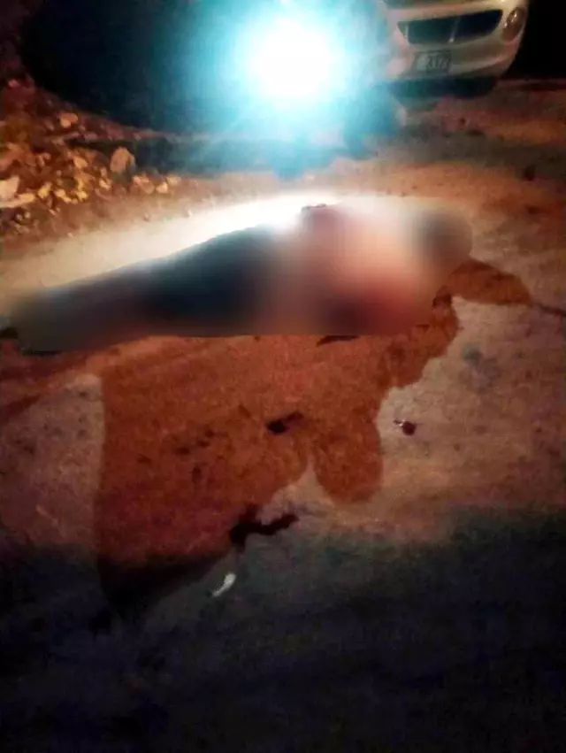 Bursa'da Bisikletli Kişi Sokak Ortasında Bıçaklanarak Öldürüldü