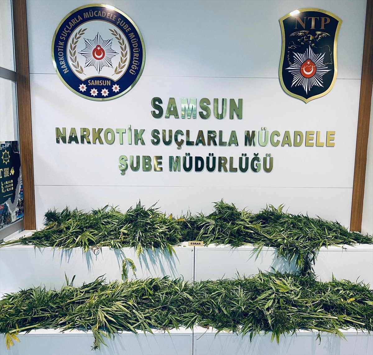 Samsun\'daki uyuşturucu operasyonunda 3 zanlı yakalandı