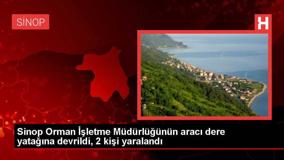 Sinop'un Ayancık ilçesinde dere yatağına devrilen pikaptaki 2 kişi yaralandı