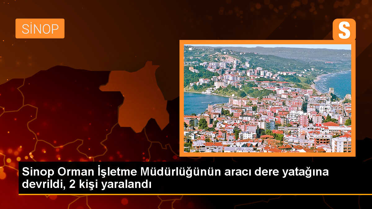 Sinop\'un Ayancık ilçesinde dere yatağına devrilen pikaptaki 2 kişi yaralandı