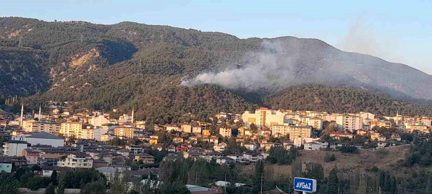 Tokat\'ın Reşadiye ilçesinde orman yangını kontrol altına alındı