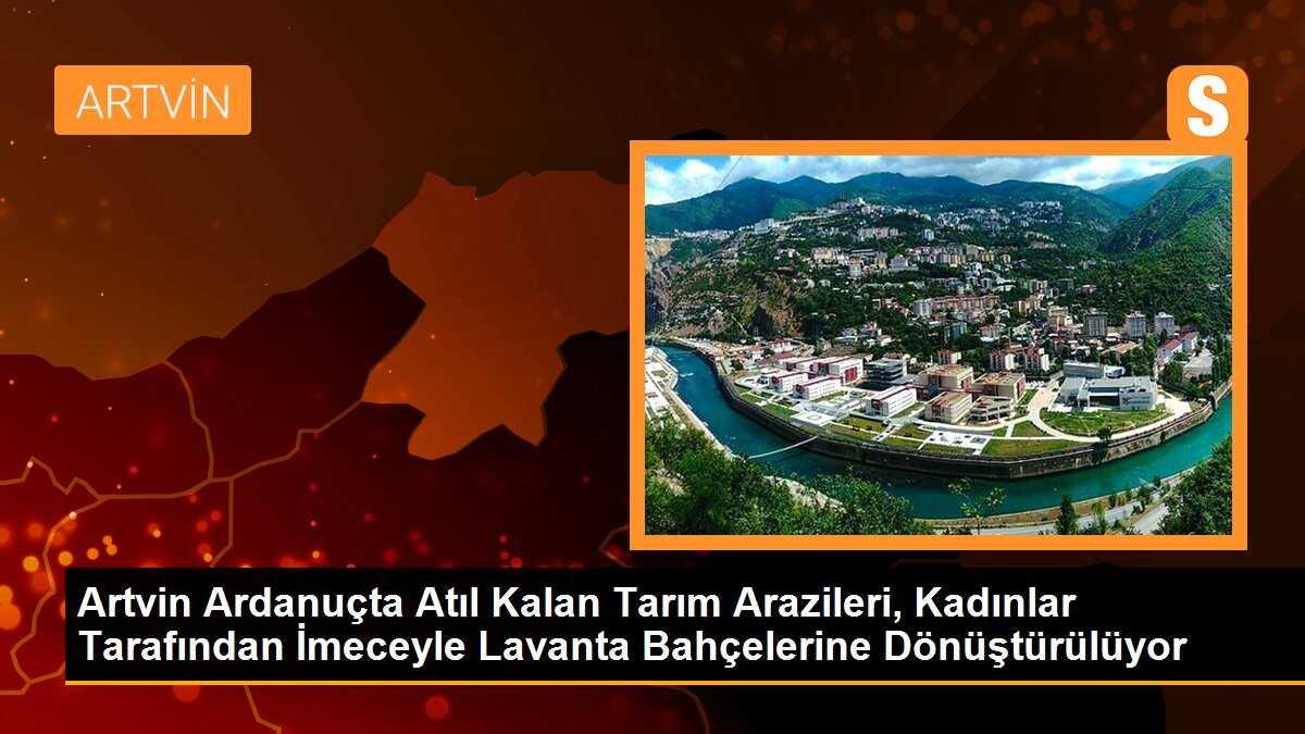 Artvin Ardanuçta Atıl Kalan Tarım Arazileri, Kadınlar Tarafından İmeceyle Lavanta Bahçelerine Dönüştürülüyor