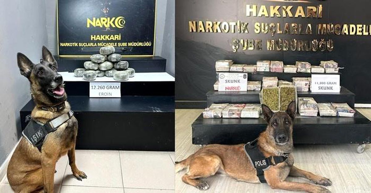 Hakkari\'de 24 Kilogram Uyuşturucu Ele Geçirildi, 6 Kişi Tutuklandı