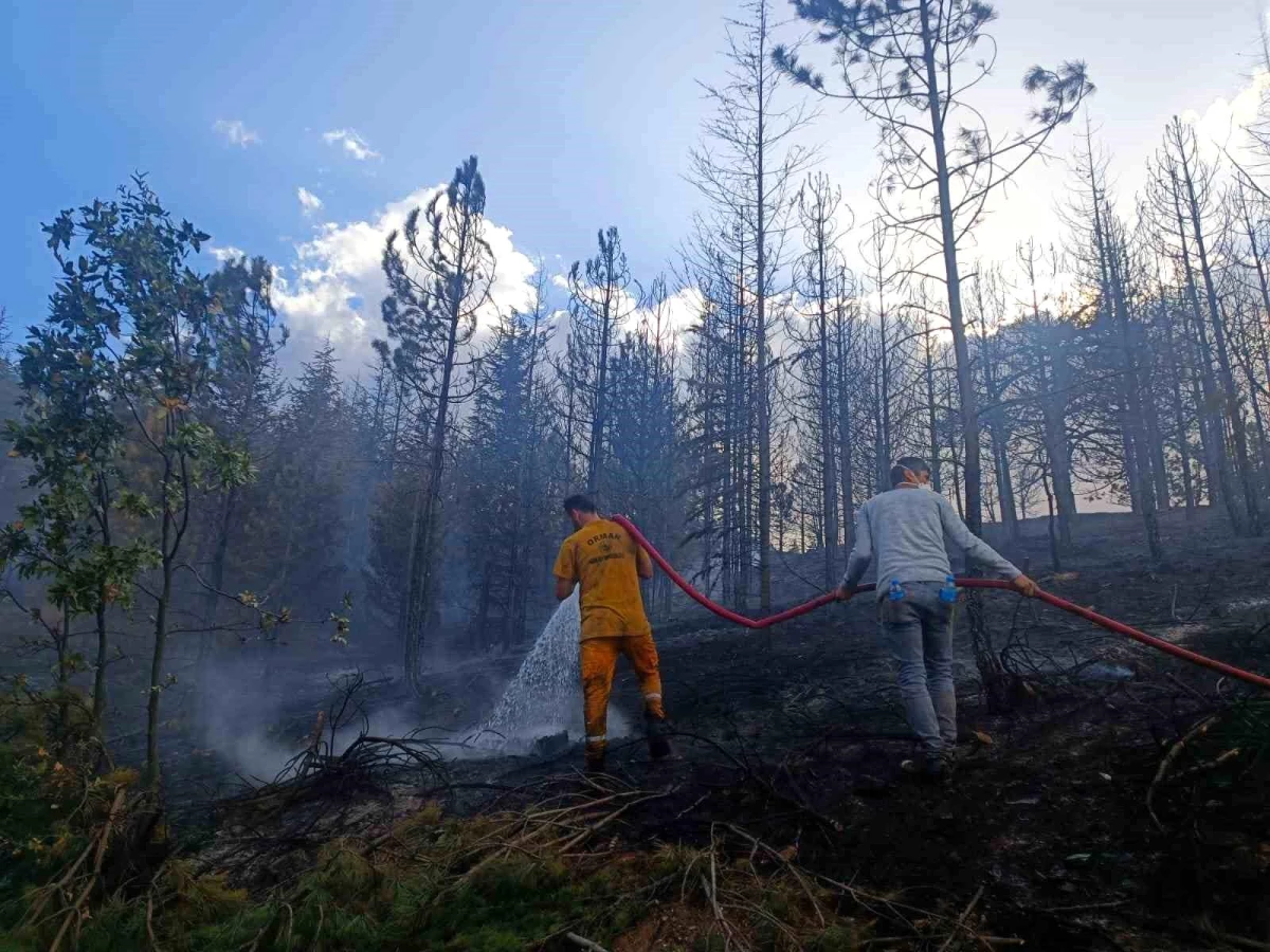 Konya\'da Meyve Bahçesinde Çıkan Yangın Ormanlık Alana Sıçradı