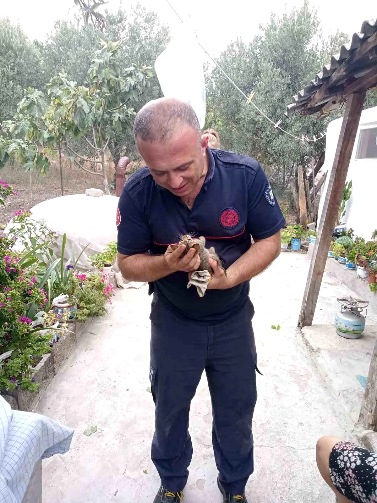 Manyas\'ta kuyuya düşen kedi yavrusu itfaiye tarafından kurtarıldı