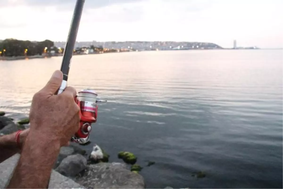 Sıcak Havalar Olta Balıkçılarını Sevindiriyor