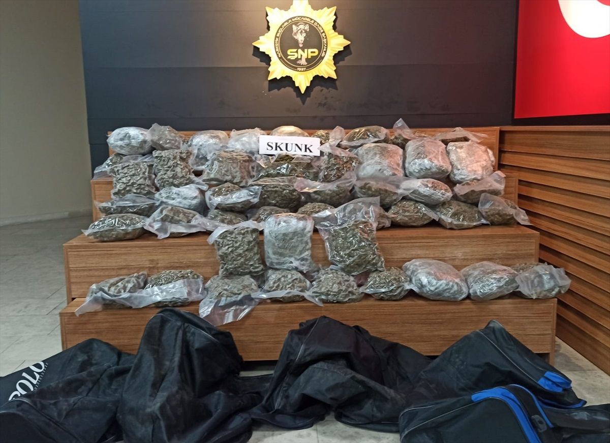 Şanlıurfa\'da 34 Kilo 500 Gram Skunk Ele Geçirildi, 2 Şüpheli Gözaltına Alındı