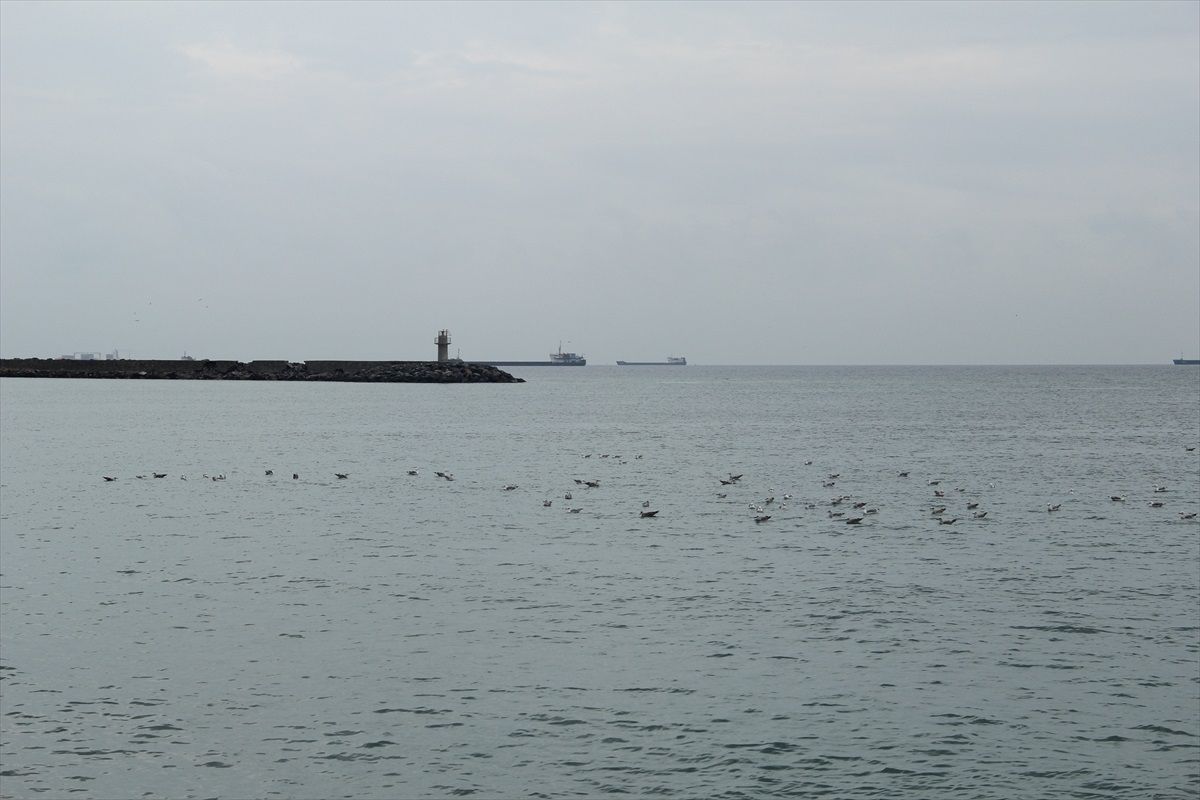Tekirdağ\'da Poyraz Etkisini Yitirdi, Deniz Ulaşımı Normale Döndü